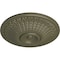 Ekena Millwork Modena Ceiling Medallion (Fits Canopies up to 5 1/4"), 23 1/2"OD x 3 1/2"P, Painted Turtle CM23MOPTF - alternate 2